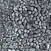 Polycrystalline Infra-Red Fibers - Image 4